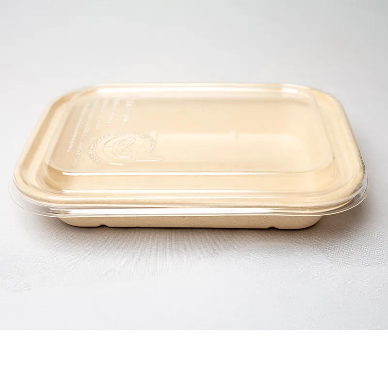 Shallow Container
