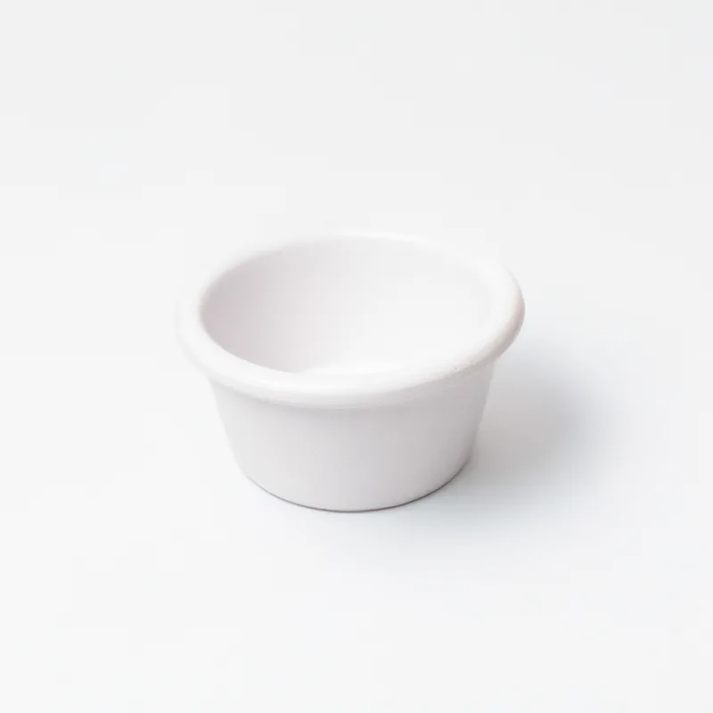 Small Melamine Container